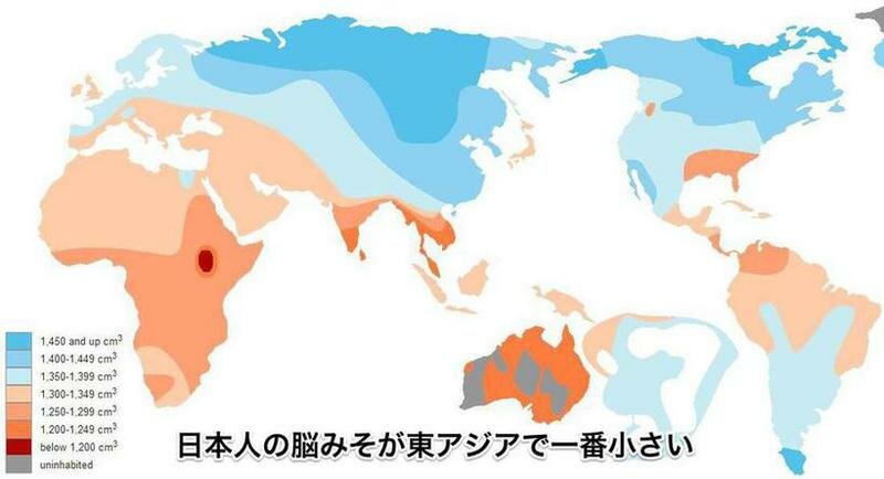 国別の脳の大きさ